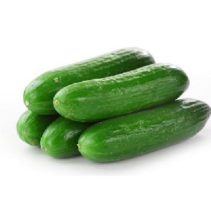 Fresh Cucumber