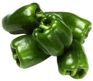 Fresh Green Capsicum