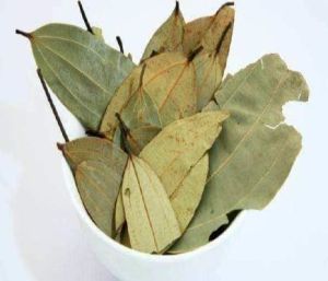 Bay Leaf