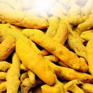 Polished Turmeric Finger