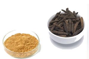 Piper Longum Extract