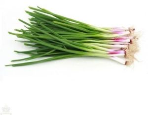 Fresh Spring Onion