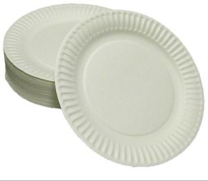 disposable paper plate