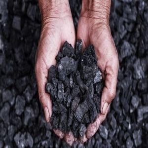 Coal