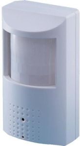 motion detector alarm