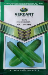 Hybrid Cucumber Seeds