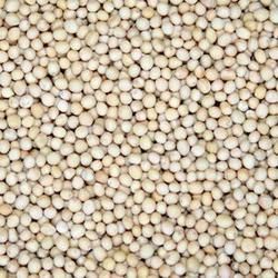 White Mustard Seeds