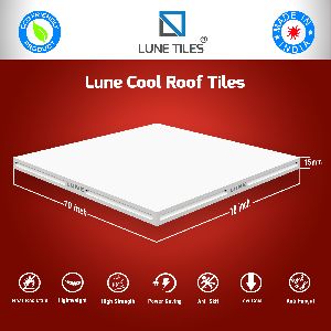 White Roof Tiles