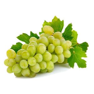 Fresh Grapes