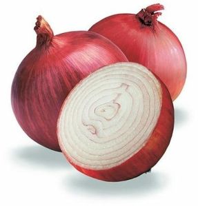 Fresh Big Onion