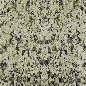 Royal Cream Granite Slab