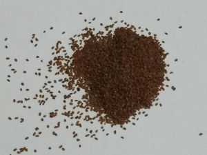 Khubkala Seeds