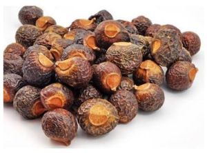 Soap Nuts