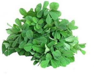 Organic Fenugreek Leaves