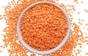 Red Lentils