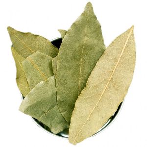 Bay Leaf