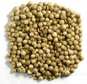 Dry Coriander Seed