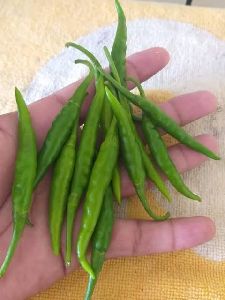 Fresh green chillis