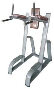 Gym Hyper Extension Machine