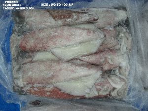 Frozen whole squid