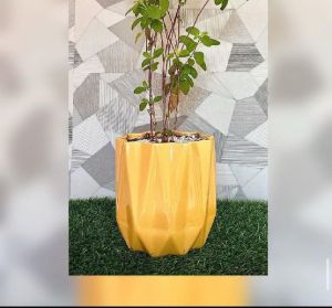 Kamrak Flower Pot