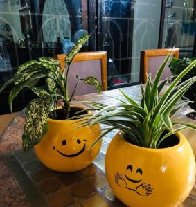 Smile Ball Flower Pot