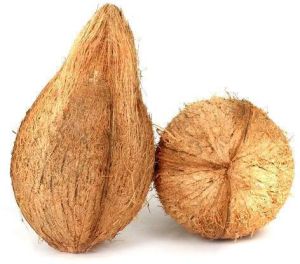 Semi Husk Coconut