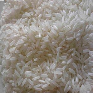 IR 36 Rice