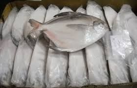 Frozen Silver Pomfret Fish