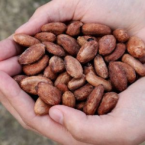 Cocoa Beans