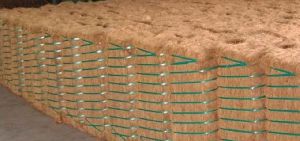 Coir Fiber