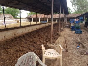 vermicompost