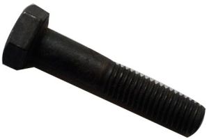 Camber Bolt