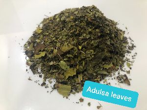 Adulsa Leaves Dry