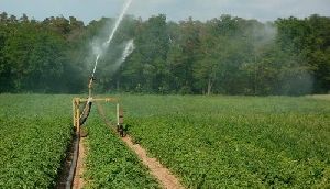 Sprinkler Irrigation System