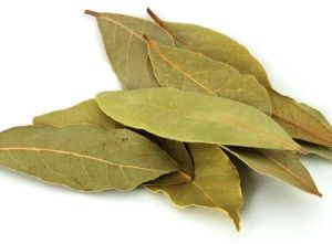 Bay Leaf