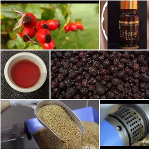 rosehip oil