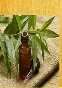 Teatree aroma oil