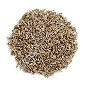 Cumin Seeds