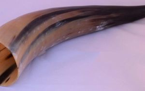 1000 ML Drinking Horn