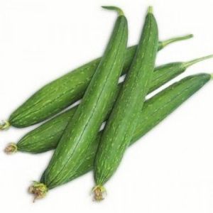 Fresh Sponge Gourd