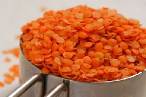 Red Lentils