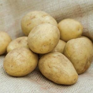 pukhraj potato