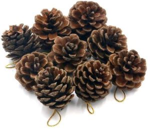 Natural Dried Pine Cones