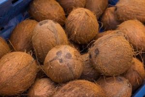 Brown Raw Coconut