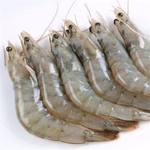 Frozen Vannamei Prawns