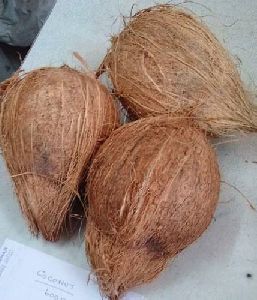 Fully Husked Coconut