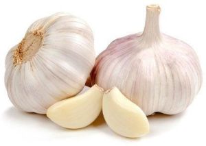 Fresh Garlic