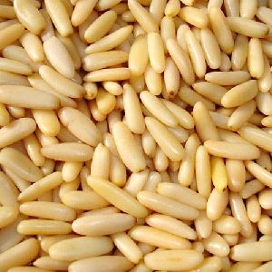 Pine Nuts