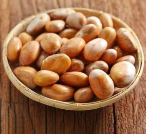 Jackfruit Seeds